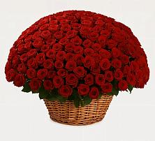 Премиум букет из: Розы в Рождественской Хаве