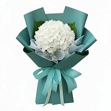 Букет цветов из:  Гортензия в Рождественской Хаве